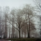 C'� un uomo che cammina nella nebbia