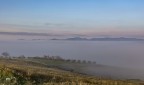 Alba&Nebbia nella collina...1 Alba&Nebbia nella collina...1
