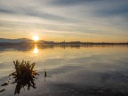 L'alba L'alba