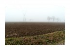 Monotonie padane - Nebbia elettrica Monotonie padane - Nebbia elettrica