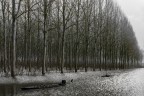 Acqua alta Acqua alta