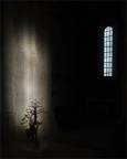 Luce magica Luce magica