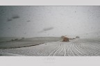 :: SNOW :: :: SNOW ::