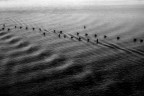 onde... onde...