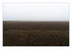 Terra e poco più Terra e poco più