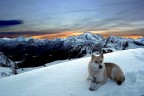 Tramonto in compagnia Tramonto in compagnia