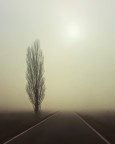 tra la via Emilia e la via Lattea tra la via Emilia e la via Lattea
