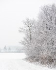 Snow Snow