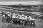 Nude nelle Crete Senesi.... Nude nelle Crete Senesi....