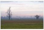 Monotonie padane. 4 Febbraio 2019 Monotonie padane. 4 Febbraio 2019