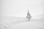 Winter 2019 Winter 2019