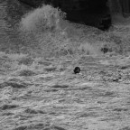 attimo scattato a Firenze