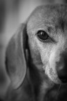 Sguardo Sguardo