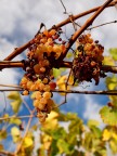 Autunno nelle campagne della provincia di Chieti Autunno nelle campagne della provincia di Chieti