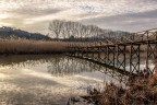 lo stagno