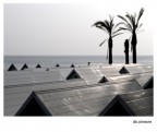 db.alneare db.alneare