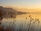 L' alba L' alba