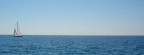 vela solitaria vela solitaria