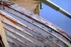 Barca Barca