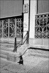 Esuberante personalità Esuberante personalità