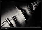 musical lines musical lines
