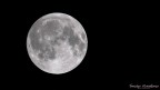 Moon Moon