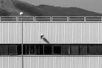..=|°=p==.. ..=|°=p==..