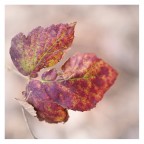 st reloaded st reloaded