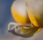 un angelo con la sua lacrima...