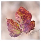 st reloaded 2 st reloaded 2