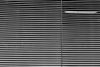 Urban #80 Urban #80