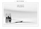 ::: B I F O R K ::: ::: B I F O R K :::