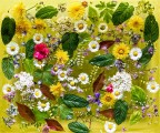 Primavera Primavera