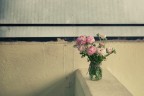 La Poesia Perduta La Poesia Perduta
