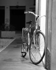 || Breve Fermata || || Breve Fermata ||