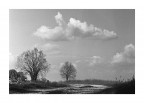 strade bianche ;/) strade bianche ;/)