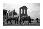 tra la Via Emilia e il West ... ;/) tra la Via Emilia e il West ... ;/)