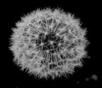 Fuochi artificiali......naturali