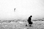 il mistero della laguna ..... il mistero della laguna .....