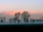 nebbiolina marzolina nebbiolina marzolina