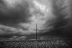 sono volate via