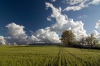 Campagna_romana Campagna_romana