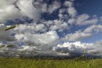 Campagna_romana