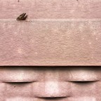 una testa tagliata (o forse due)