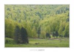 Paesaggio silano in Primavera