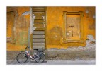 mobilità mobilità