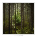 Nature Prison