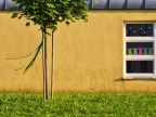 ultimi giorni di scuola (vento d'estate) ultimi giorni di scuola (vento d'estate)