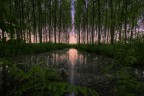 Tramonto al padule Tramonto al padule