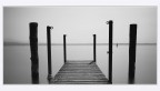 Pontile Pontile